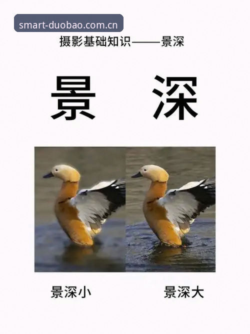 懂行的家伙看一眼安卓版下载，凭什么比官网省三步？