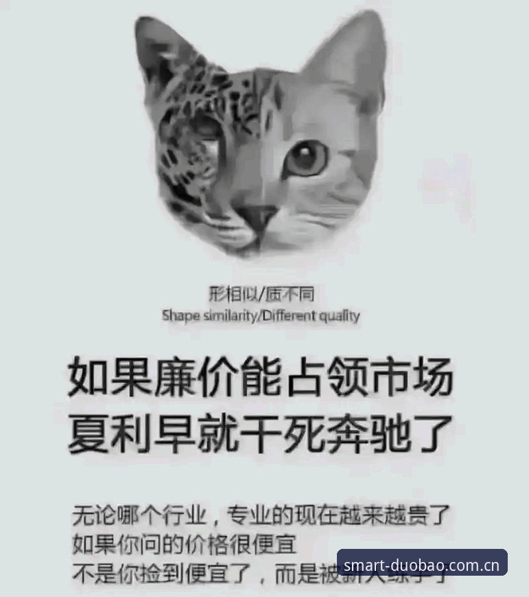 懂行的家伙看一眼中文比分入口使用指南 多宝体育平台2026版本的中文比分入口逻辑:一份懂行人的使用指南深度分析